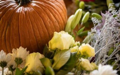 Radionica „cucurbita dizajn“ – jesenske kreacije od bundeva i tikvi