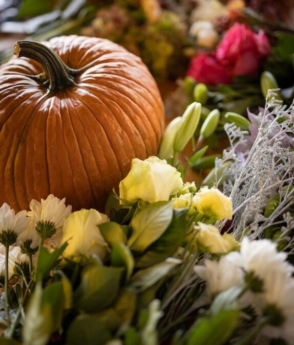 Radionica „cucurbita dizajn“ – jesenske kreacije od bundeva i tikvi