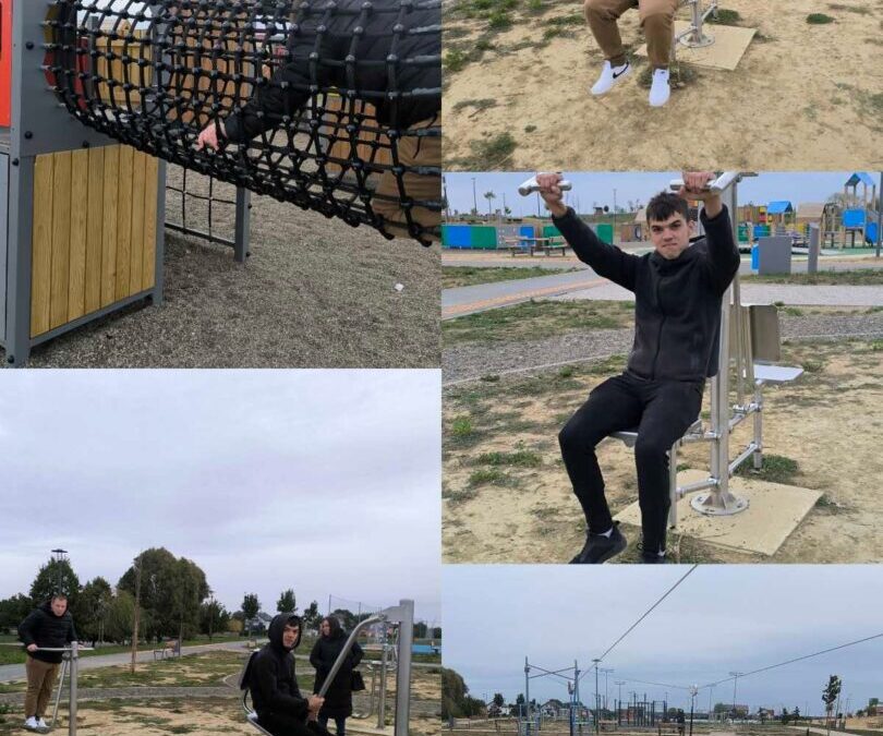 Aktivnosti SHE programa