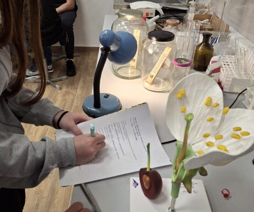 Jesmo li svjesni koliko naš utjecaj mijenja klimu na Zemlji?