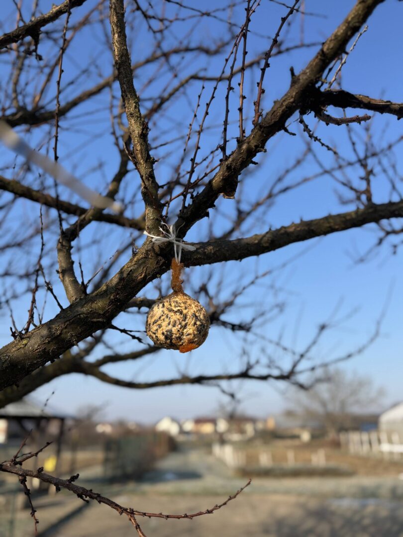 617886474_1376457534276992_7183644097790451756_n